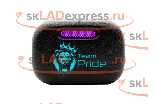 Кнопка Team Pride пересвеченная с индикацией на ВАЗ 2113-2115, Лада Калина, Нива Тревел, Шевроле Нива_1