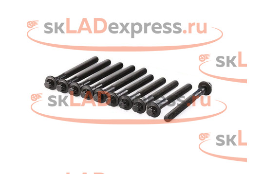 Комплект болтов ГБЦ BYSUN PARTS на 8 кл Лада Ларгус_1