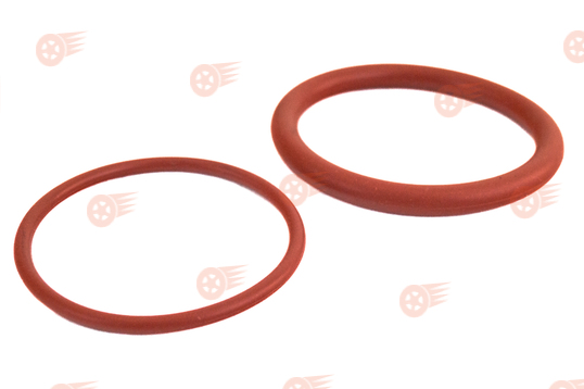 Уплотнительные кольца дроссельной заслонки AutoProduct Parts на 16 кл Лада Ларгус, Renault Logan, Sandero, Duster_1