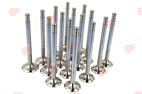 Комплект клапанов на 16 кл ВАЗ 2110-2112, 2113, 2114, Лада Приора, Калина, Калина 2, Гранта, Гранта FL, Ларгус, Ларгус FL, Веста, Веста NG, Икс Рей, Искра, Нива Спорт_1