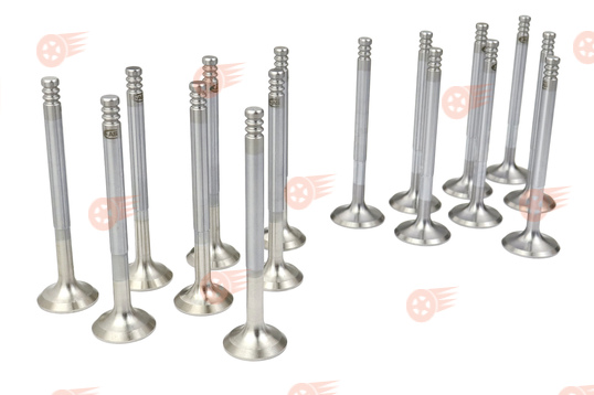 Комплект клапанов Avtostandart на 16 кл ВАЗ 2110-2112, 2113, 2114, Лада Приора, Калина, Калина 2, Гранта, Гранта FL, Ларгус, Ларгус FL, Веста, Веста NG, Икс Рей, Искра, Нива Спорт_1